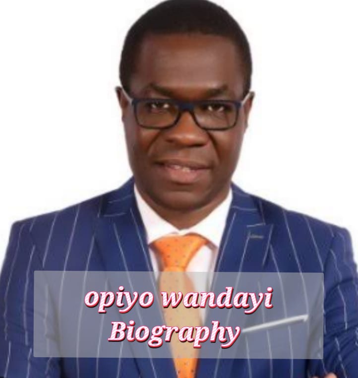 Opiyo Wandayi Biography